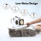 Pet Groomer and Vacuum Cleaner